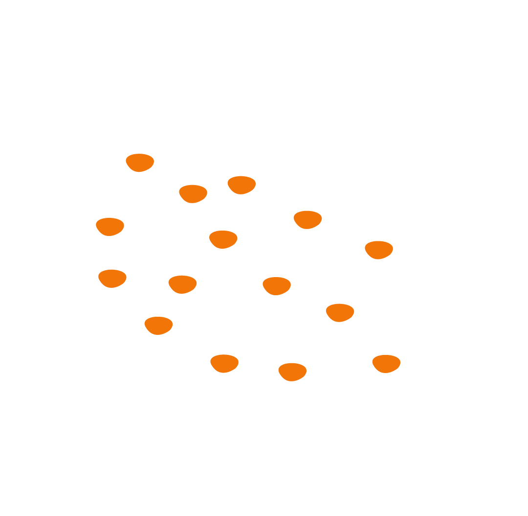 Decorative 14