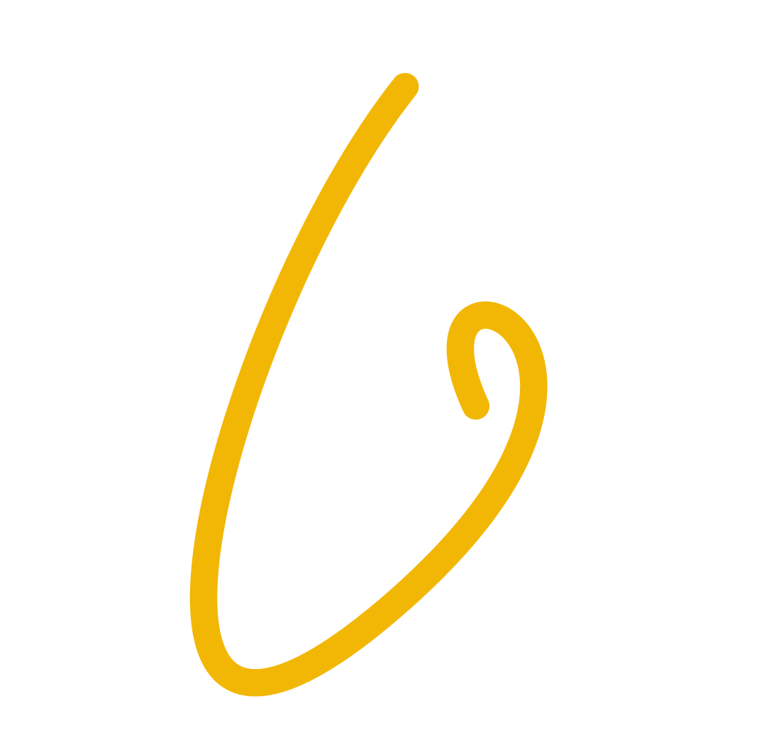 Decorative 15