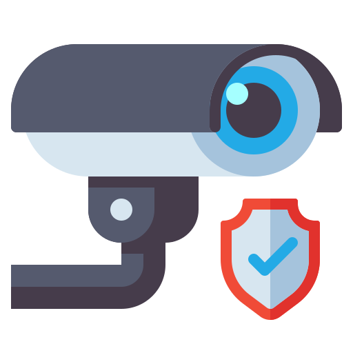 CCTV Surveillance & Safety Protocols